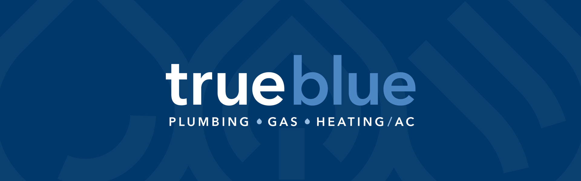 True Blue Plumbing Customer Reviews & Testimonials